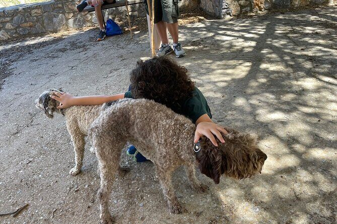 Truffle Hunting, Culinary & Wine Celebration from Heraklion - The 1882 Cretan Mansion meet-up: truffle hunting with real dogs