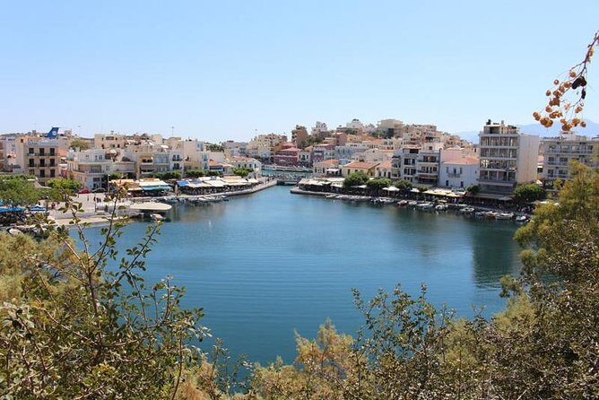 Unknown East - Agios Nikolaos Kritsa and Amazonas Park - Neapolis Olive Oil Factory: Tour and Tasting Moment