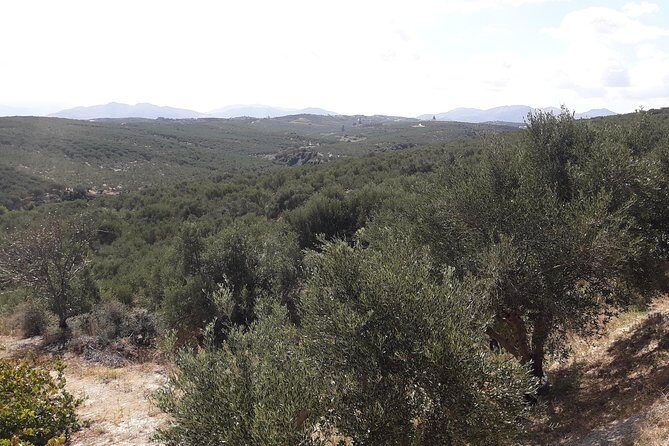 Wine, Beer, Olive Oil Tasting Private Tour (price per group of 6) - A West Crete food-and-drink day, private van included