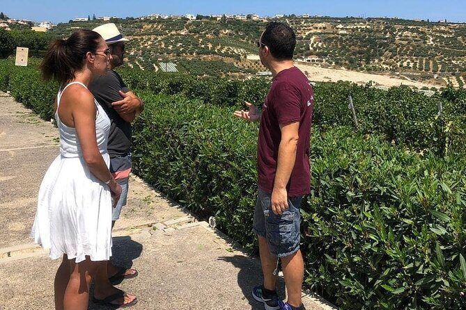 Wine olive and Food of Crete, Heraklion - The rhythm of the day: pastries, city time, then winery-and-port mode