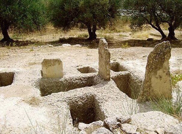 Wine Raki Olive Oil Tasting and Pottery - Private Tour - Key highlights to know before you go