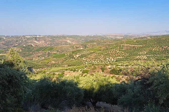 Wine Raki Olive Oil Tasting and Pottery - Private Tour - The van, timing, and how to get the most from 5 hours